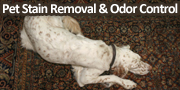 Green Carpet Rug Cleaning Pet Stain Removal & Odor Control
