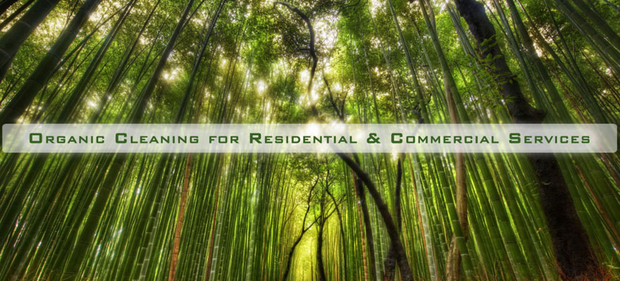 <h2>Natural, Organic, Green Rug & Carpet Cleaning</h2> Natural, Organic, Green Rug & Carpet Cleaning