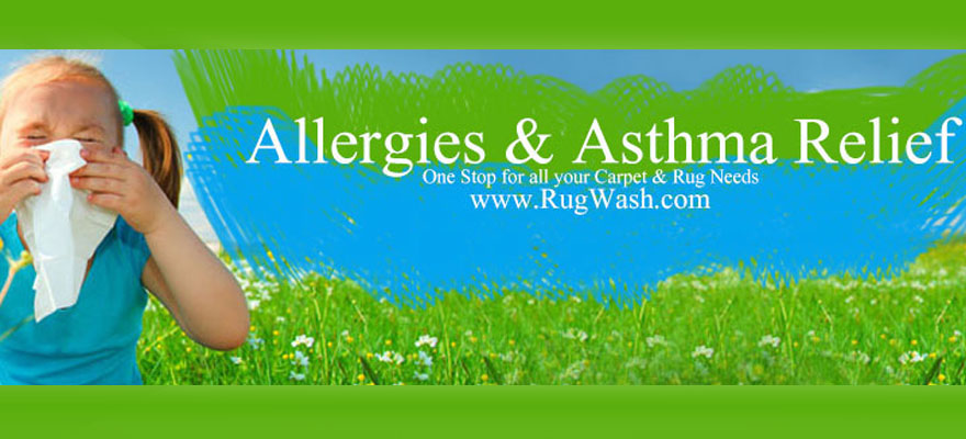 <h2>Non-Toxic & Chemical Free</h2> Non-Toxic & Chemical Free